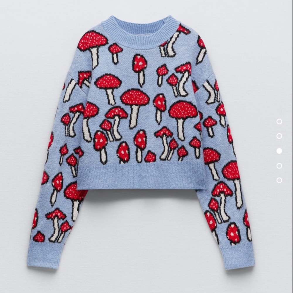 Zara Mushroom Sweater size Large